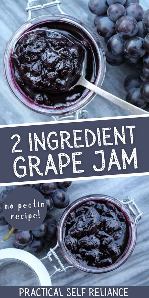 Concord Grape Jam, Grape Jam Recipe, Homemade Grape Jelly, Canning Jam Recipes, Grape Jam, Jam Recipes Homemade, Canning Jam, Grape Recipes, Homemade Jelly