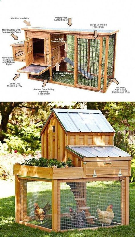 Reban Ayam, Duck Pens, Kebun Herbal, Small Chicken Coops, Chicken Coop Garden, Chicken Barn, Backyard Chicken Coop Plans, Diy Chicken Coop Plans, Backyard Chicken Farming