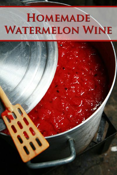 Easy Wine Making Diy, Watermelon Wine Recipe, Watermelon Liqueur Recipe, Mead Wine Recipes, Watermelon Moonshine Recipe, Fruit Wine Recipes, Mead Recipes, Mead Making, Wine Making Recipes