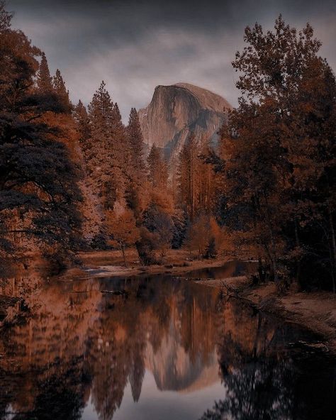 Brown Aesthetic Nature, Dakota Core, Abigail Core, Autumn Homescreen, Rdr2 Horses, Autumn Court, Autumn City, Water Background, A Court Of Wings And Ruin