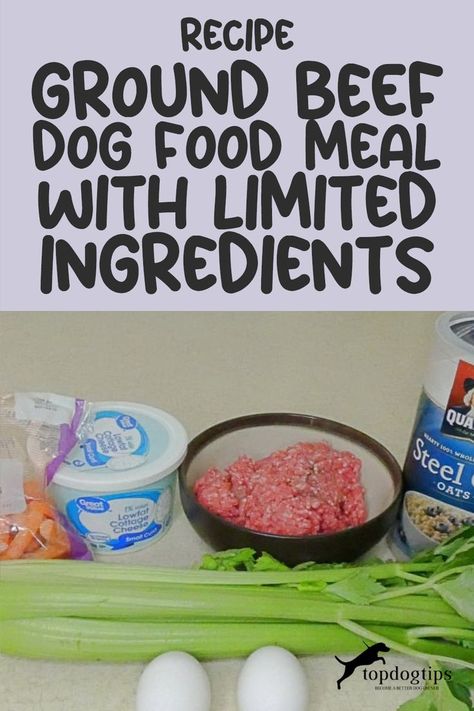 Simplify Your Pup's Diet: Easy Ground Beef Dog Food with Limited Ingredients 🍖 Beef And Rice Dog Food Recipes, Homemade Dog Food Ground Beef, Ground Beef Recipes For Dogs, High Protein Meals For Dogs, Hamburger Dog Food Recipe, Homemade Dog Food Beef, Homemade Beef Dog Food Recipes, Homemade Dog Food With Ground Beef, Crockpot Dog Food Recipes Ground Beef