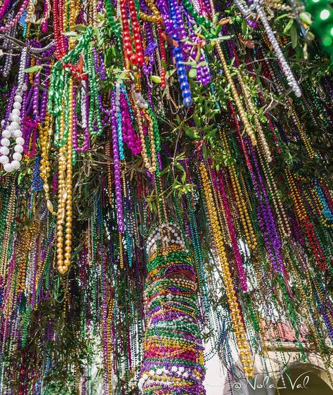 Mardi Gras Tree, Elaborate Costumes, Bead Trees, Party Animal Costume, Louisiana Bayou, Sweet 16 Themes, Mardi Gra, Visit New Orleans, New Orleans Mardi Gras