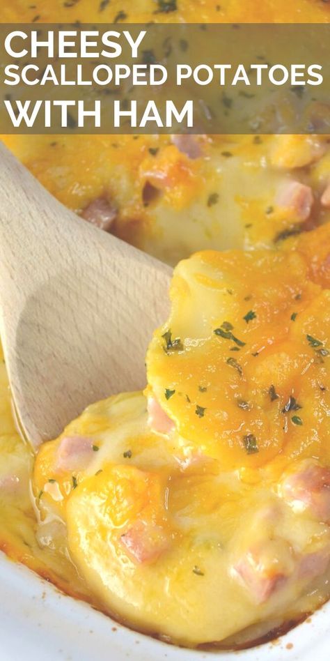 An easy, cheesy scalloped potatoes and ham recipe that will be a crowd favorite. Perfect for a dinner or as a side dish for a family meal, this classic casserole is super simple to make. #potatoes #scallopedpotatoes #sidedish #Easter #ham #leftoverham #cheese Scalloped Potatoes And Ham Easy, Cheesy Scalloped Potatoes And Ham, Scalloped Potatoes And Ham Recipe, Scalloped Potatoes With Ham, Easy Cheesy Scalloped Potatoes, Scalloped Potatoes Crockpot, Potatoes And Ham, Ham And Potato Casserole, Scalloped Potatoes Easy