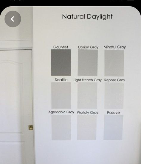 Grey Doors Interior, Light Grey Doors, Grey Painted Rooms, House Doors Colors, Basement Color, Hallway Paint Colors, Basement Colors, Light Grey Paint Colors, Painted Interior Doors