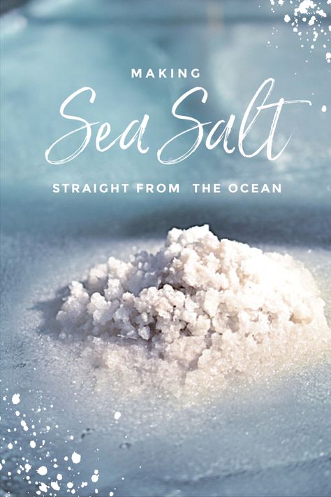 Making sea salt, straight from the ocean How To Makw, Epsom Salt Benefits, Salt Making, Sea Salt Recipes, How To Make Hamburgers, Ocean Salt, Terranea Resort, Sea Salt Spray, No Salt Recipes