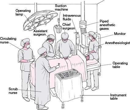 Operating Room Team: Surgeon, Assistant surgeon, Anaesthetist, Anaesthetic nurse, Scrub nurse, Circulating nurse  Theatre technician Circulating Nurse, Surgical Technologist Student, Medical Terminology Study, Perioperative Nursing, Studie Hacks, Operating Room Nurse, Nursing Student Tips, Medical Student Motivation, Surgical Nursing