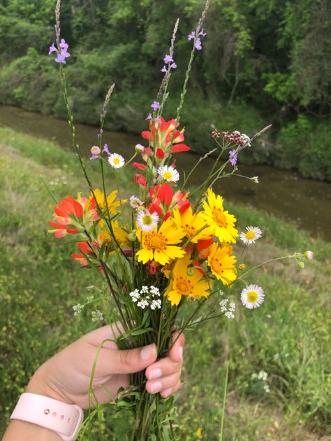 Wild Flower Bouquet Small, Wildflower Arrangements Simple, Colorado Wildflower Bouquet, Colorful Wildflower Bouquet, Indian Paintbrush Bouquet, Wildflower Reference, Wildflower Bouquet Small, Yellow Wildflower Bouquet, Small Wildflower Bouquet