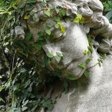 Sunday Gardening Green Academia, Forest Core, Stone Statue, Plant Aesthetic, Style Deco, My Spirit, Spring Aesthetic, Nature Plants, Academia Aesthetic