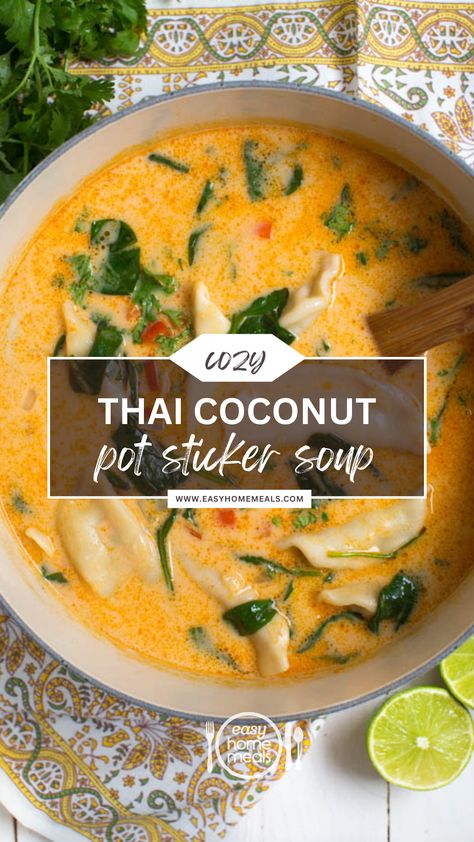 Asian Soup Coconut Milk, Thai Coconut Curry Dumpling Soup, Creamy Coconut Noodle Soup, Wonton Soup Vegetarian, Coconut Wonton Soup, Potsticker Coconut Soup, Thai Potsticker Soup, Thai Coconut Potsticker Soup, Coconut Curry Wonton Soup