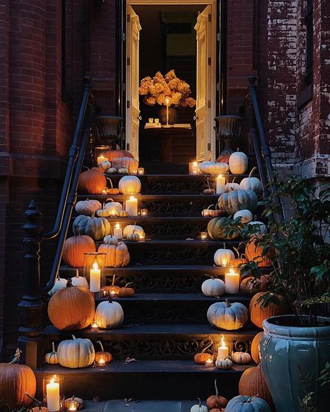 JOSH YÖUNG on Instagram: “Hello Autumn 🖤 . . . . . . . . . #autumn #joshyoungdesignhouse #washingtondc #dc #fall #artisthome #townhouse #townhome #entry #interior…” Porche Halloween, Halloween Entryway, Fall Front Door Decor, Inktober 2023, Decor 2023, 2023 Halloween, Halloween Porch Decorations, Halloween Front Porch, Fall Front Door