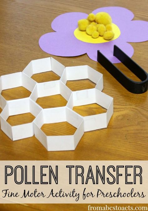 fine motor pollen transfer - bumblebee preschool theme Learning About Bees, Insects Preschool, Bugs Preschool, Spring Activity, Bee Activities, Activity For Preschoolers, Fine Motor Activity, Insects Theme, Preschool Fine Motor