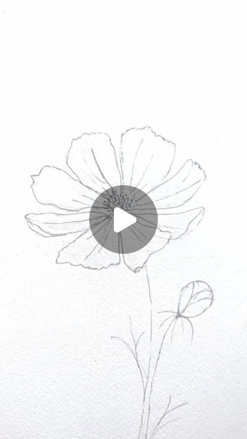 Cosmos Sketch, Painting Cosmos, Cosmos Painting, Flower Board, Instagram Painting, Cosmos Flowers, Winter Watercolor, Watercolor Sketch, Watercolor Drawing