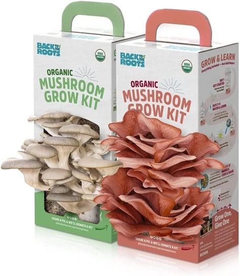 Mushroom Growing Kits: The Best Mushroom Growing Kits in 2023 | ehow When To Plant Vegetables, Mushroom Kits, Mushroom Grow Kit, Mushroom Growing, Pink Mushroom, Grow Kit, Grow Bags, Frozen Vegetables, The Roots