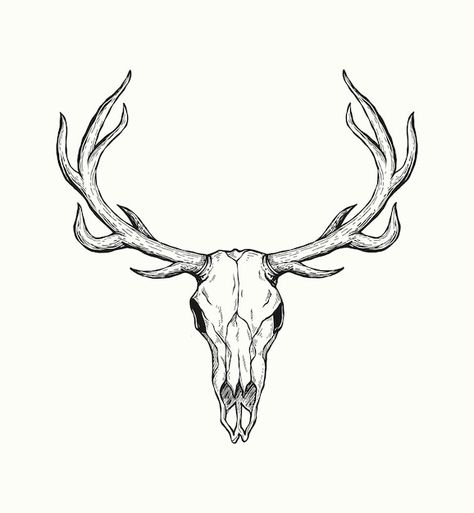 Deer Skull Drawing, Deer Antler Tattoo, Antlers Drawing, Antler Drawing, Deer Skull Tattoo, Antler Tattoos, Antler Tattoo, Deer Skull Tattoos, Deer Skull Art