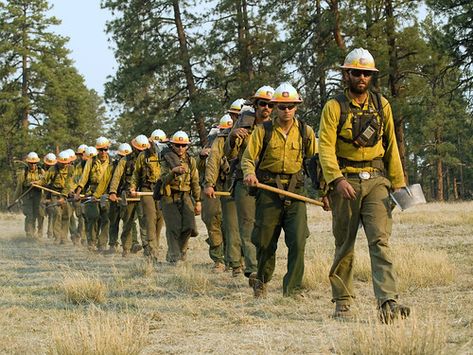 Wildfire Firefighter, Forest Firefighter, Wildland Firefighting, Camping Bushcraft, Outdoor Jobs, Firefighter Pictures, Us Forest Service, Wildland Fire, Forest Ranger