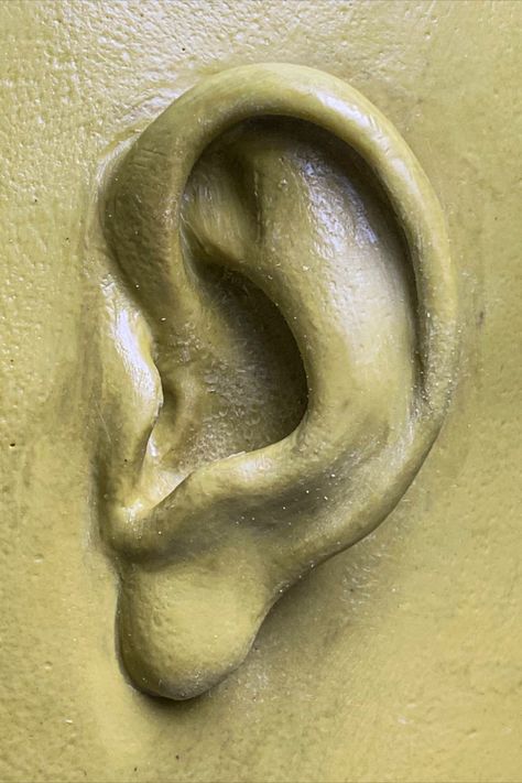 A ear details of our one clay model sculpture. Ear Sculpture, Model Sculpture, Clay Model, Hollywood Stars, Wax, Sculpture, Quick Saves, Art, Hollywood Star