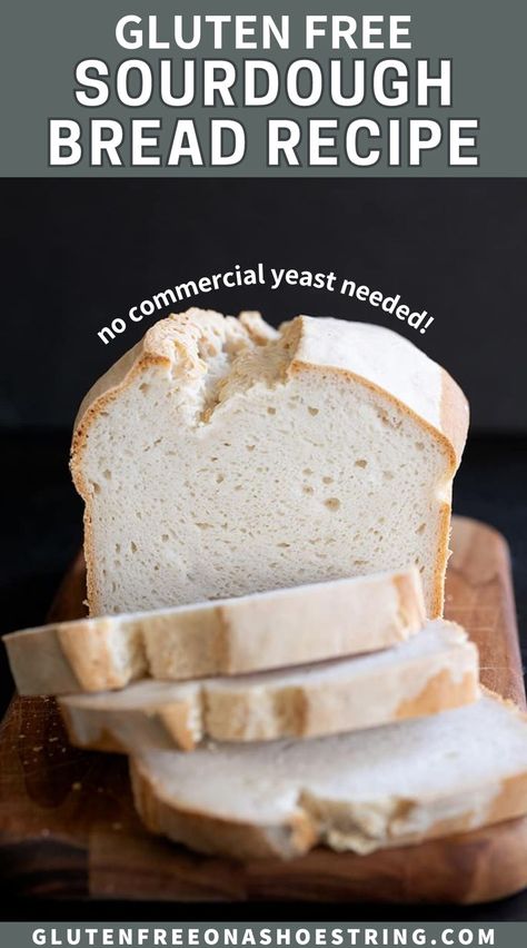 Gluten Free Sourdough Bread Recipe, Wild Yeast Starter, Sourdough Sandwich Bread Recipe, Gluten Free Sourdough Starter, Gluten Free Sourdough Bread, Gluten Free Sandwich Bread, Gluten Free Sandwiches, Yeast Starter, Gluten Free Yeast Free