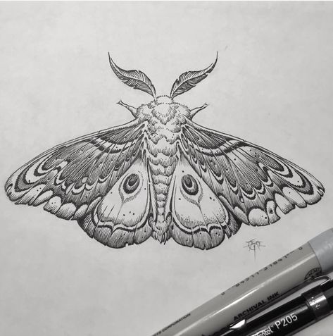 Tattoo Papillon, Moth Drawing, Moth Tattoo Design, Night Tattoo, Tier Tattoo, Dibujos Tattoo, Insect Tattoo, Tattoo Zeichnungen, Moth Art