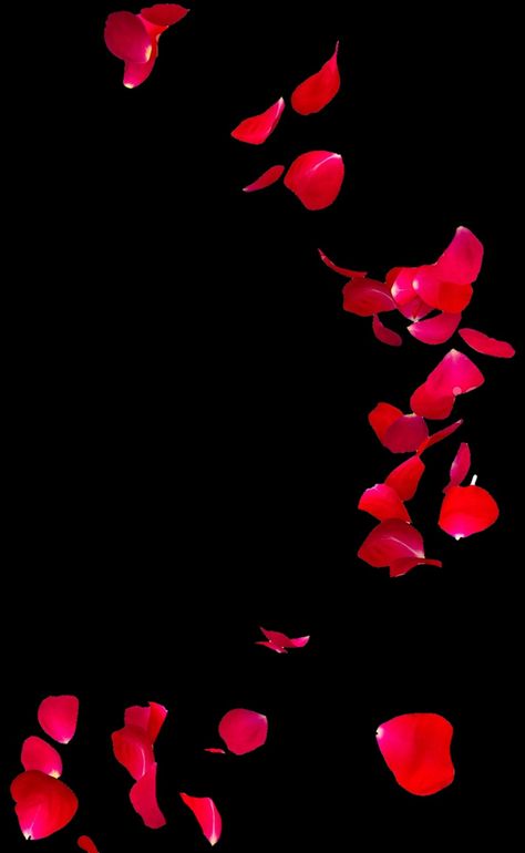 Gulab Png, Rose Petals Falling, Chinese Frame, Hd Dark Wallpapers, Dj Images Hd, Science Background, App Background, Aesthetic Roses, Best Photo Background