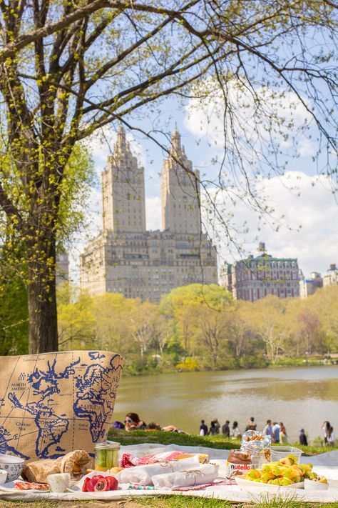 Central Park Picnic Aesthetic Central Park, Central Park Aesthetic, Central Park Picnic, Summer In Nyc, Park Picnic, Nyc Lifestyle, Picnic Inspiration, Nyc Summer, Central Park Nyc