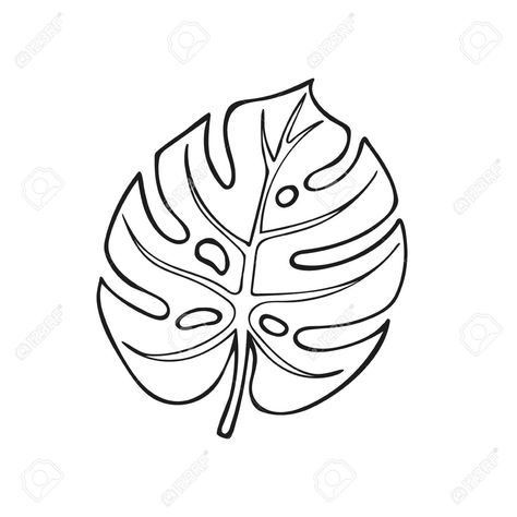 Delicious Monster Leaf Drawing, Easy Monstera Leaf Drawing, Monstera Leaf Drawing Simple, Monstera Leaf Sketch, Monstera Plant Outline, Leaf Drawing Outline, Monstera Drawn, Leaves Outline Drawing, Monstera Leaves Drawing