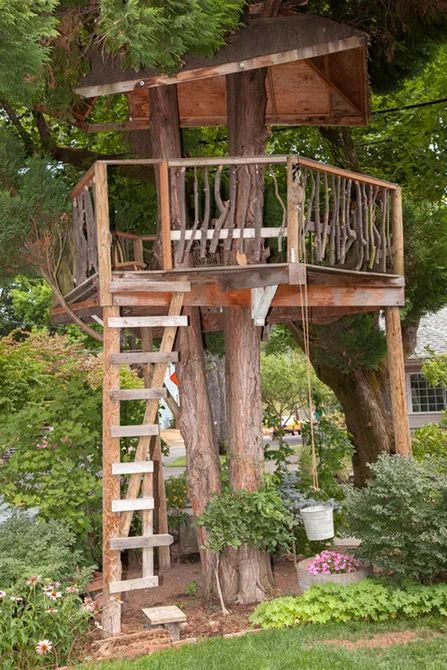 Tree house bedroom