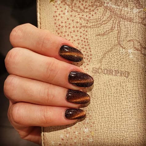 Tigers Eye Nails Polish, Brown Tiger Eye Nails, Dark Brown Cat Eye Nails, Cat Eye Dip Nails, Tiger Eye Nails Design, Dark Cat Eye Nails, Tigers Eye Nails, Brown Cat Eye Nails, Tiger Eye Nails