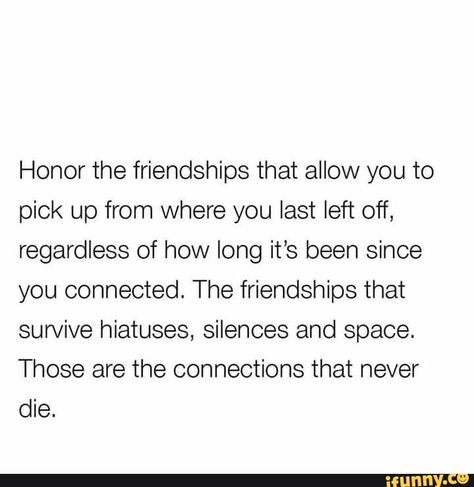 Honor the friendships that allow you to pick up from where you last left off, regardless of how long it’s been since you connected. The friendships that survive hiatuses, silences and space. Those are the connections that never die. – popular memes on the site iFunny.co #space #animalsnature #honor #friendships #allow #last #left #regardless #how #long #been #the #survive #hiatuses #silences #space #those #never #die #pic Long Friendship Quotes, Rowing Quotes, Friendship Problems, Corny Quotes, True Friendships, Connection Quotes, Friends Change, Old Friendships, Life Mantras