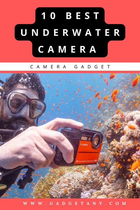 UNDERWATER CAMERA Nanny Job Description, Entitled Parents, Tiny House Inspiration, Underwater Camera, Travel Camera, Best Camera, Travel Photographer, Nanny, Scuba Diving