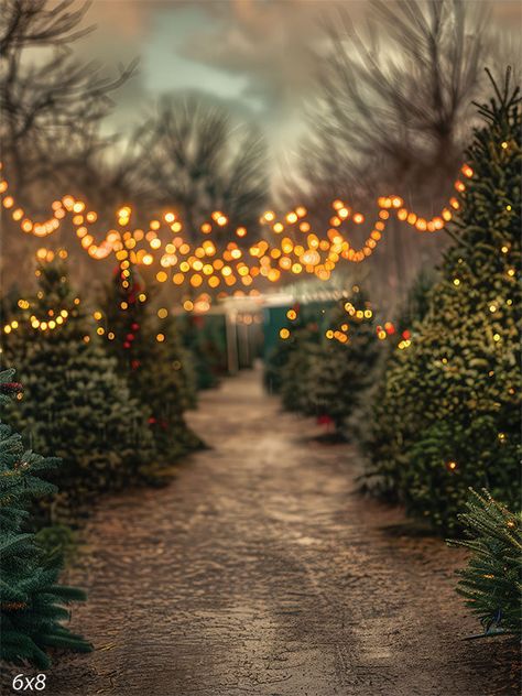 Festive Christmas Tree Pathway Photography Backdrop - Pathway lined with Christmas trees adorned with string lights Christmas Outside Aesthetic, Twinkle Lights Tree, Christmas In Austin Texas, Christmas Photo Aesthetic, Christmas Tree Lights Wallpaper, Moody Christmas Photography, Christmas Lights Outside Tree, Pathway Photography, Outdoor Christmas Tree Ideas