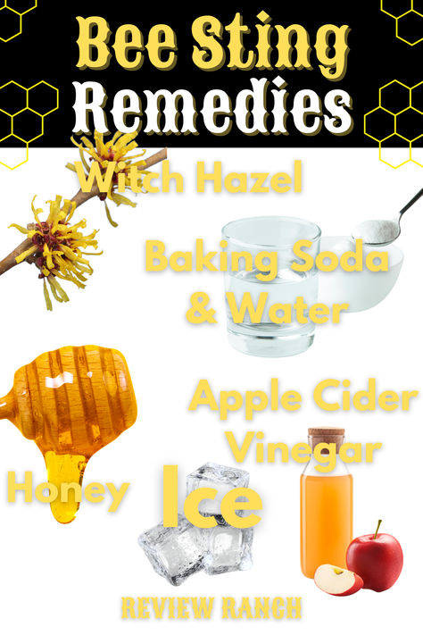 Bee Sting Remedies: Discover natural and effective ways to soothe the discomfort of a bee sting. From apple cider vinegar and baking soda paste to soothing aloe vera and calming honey, find relief for your symptoms with these home remedies. Bee Sting Remedies, Wasp Sting Remedy, Treating Bee Stings, Wasp Sting, Remedies For Bee Stings, Wasp Stings, Vinegar And Baking Soda, Lip Care Tips, Baking Soda Water