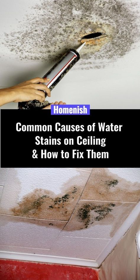 Water Stains On Ceiling, Water Stain On Ceiling, Bathroom Ceiling Ideas, Water Damaged Ceiling, Ceiling Leak, Wall Stains, Simple Coat, Drop Ceiling Tiles, Roof Damage