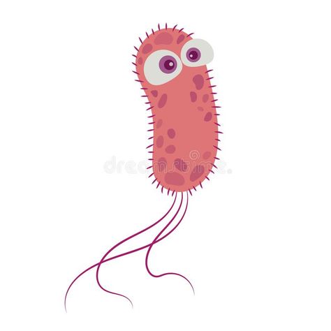 Escherichia coli Bacteria. Vector illustration. E. coli bacteria isolated on whi , #AD, #Vector, #illustration, #bacteria, #Escherichia, #coli #ad Archea Bacteria, Bacteria Drawing, Bacteria Illustration, Bacteria Cell, Bacteria Cartoon, E Coli Bacteria, Microscopic Photography, Nurse Art, Science Stickers