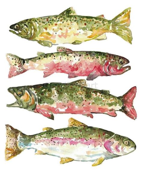 Fish Watercolor Painting, Kunstjournal Inspiration, Fish Watercolor, Výtvarné Reference, Brook Trout, Watercolor Fish, Art Watercolor Painting, Arte Inspo, Fish Painting