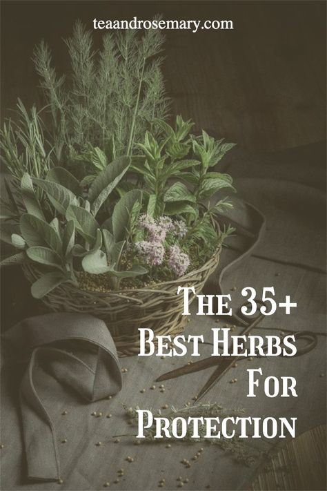 The best herbs for witchcraft and herbs for protection. If you're learning about witchcraft for beginners, then look into these protection herbs, as herbs is a great place to start in witchcraft! Herbs For Intentions, Plants For Protection From Evil, Herbs For Success Witchcraft, Witchcraft Herbs And Uses, Cleansing Herbs Witchcraft, Protection Plants Witchcraft, Health Protection Spell, Protection Herbs Magick, Protection Herbs Witchcraft