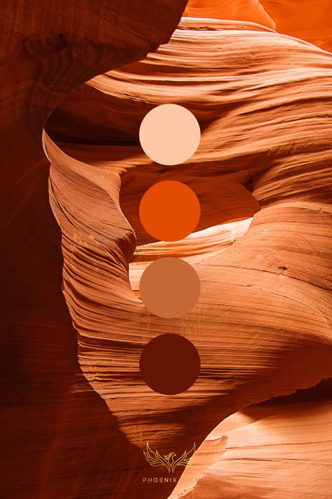 Orange color palette / inspo nature Orange Swatches Colour Palettes, Colour Combinations For Branding, Orange And Brown Color Palette, Orange Palette Colour Schemes, Desert Colour Palette, Nature Color Pallete, Arizona Color Palette, Nature Pallet, Desert Sunset Color Palette