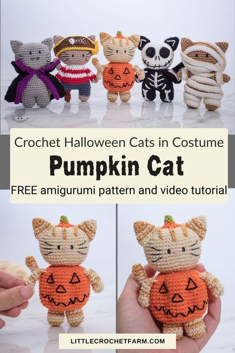 Crochet Pumpkin Cat free amigurumi pattern Crochet Cat Free Pattern, Needlework Stitches, Crochet Pour Halloween, Halloween Amigurumi, Crochet Cat Toys, Pirate Cat, Fall Crochet, Cat Crochet, Pumpkin Cat