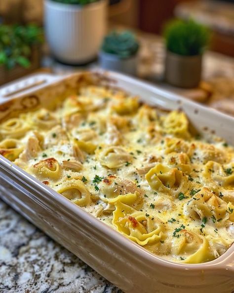 I took this to a potluck and it disappeared in minutes—everyone was after the recipe! Easy Pasta Party Dishes, Easy Dinners For A Crowd Large Families, Italian Pasta For A Crowd, Main Dish For A Potluck, Birthday Party Casseroles, Potluck Casserole Ideas, Single Serving Casserole Recipes, Great Casseroles Dinners, Best Potluck Main Dishes