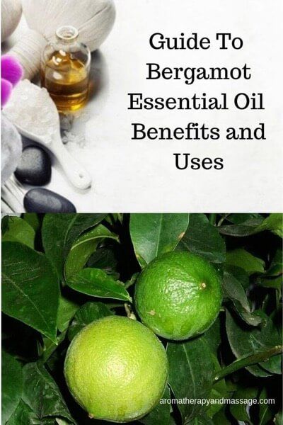 A Guide To Bergamot Essential Oil and Its Benefits and Uses In Aromatherapy | Learn more at https://www.aromatherapyandmassage.com/bergamot-essential-oil.html Bergamot Essential Oil Benefits, Calendula Essential Oil, Roman Chamomile Essential Oil, Basil Essential Oil, Essential Oil Safety, Homemade Deodorant, Essential Oils Guide, Ylang Ylang Essential Oil, Geranium Oil