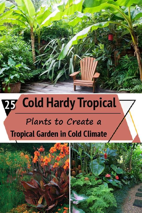 Tropical Gardening Ideas, Large Tropical Garden, Tropical Plant Garden Landscape Design, Tropical Uk Garden Design, Colourful Tropical Garden, Tropical Landscaping Cold Climate, Tropical Raised Garden Bed, Tropical Garden Design Small Spaces Patio, Landscape Beside House