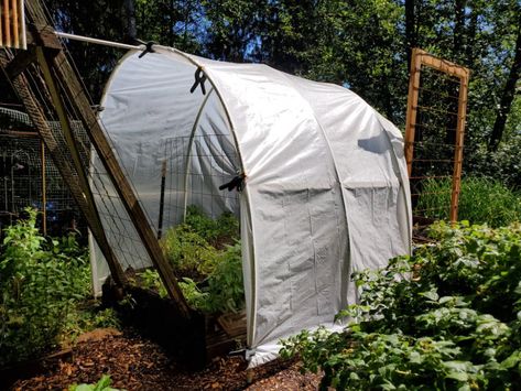 DIY Polytunnel for under Forty Dollars | A Farm Girl in the Making Small Polytunnel, Green House Diy, Garden Tunnel, Fairytale House, Diy Living Room, Beach House Living Room, Bug Hotel, Tiered Garden, Potager Garden