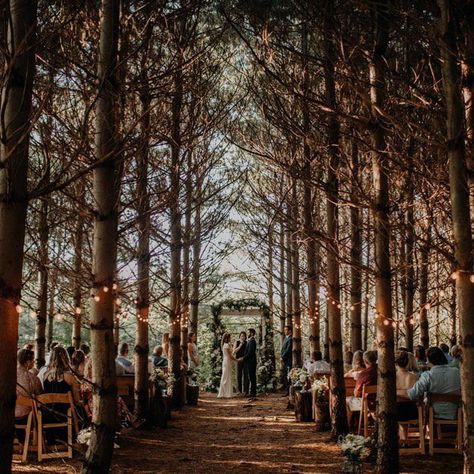 23 of Ohio’s Top Wedding Venues | Orchard House | Photo: Grace E. Jones Wedding Outside, Forest Wedding Venue, Twilight Wedding, Orchard House, Forest Theme Wedding, Ohio Wedding Venues, Enchanted Forest Wedding, Wedding Reception Ideas, Old Mansions