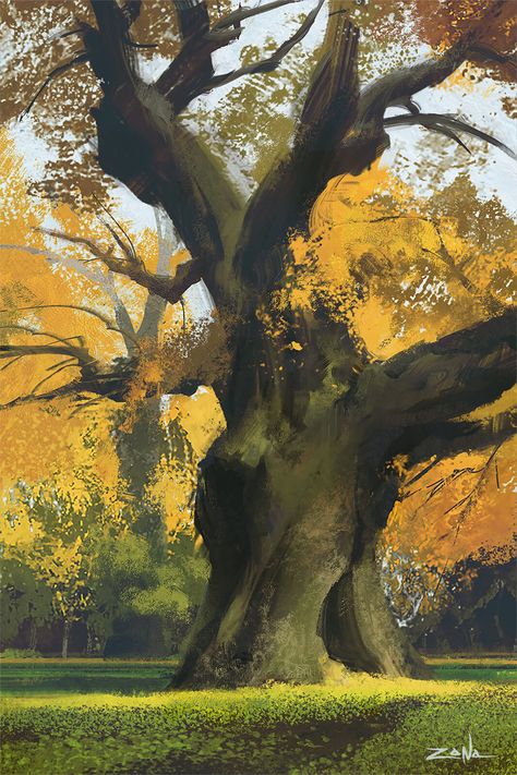 Eytan Zana - Tree Study Eytan Zana, Rustic Painting, Tree Study, Art Landscapes, Landscape Concept, Tree Illustration, Tree Drawing, Environment Design, Environment Concept Art