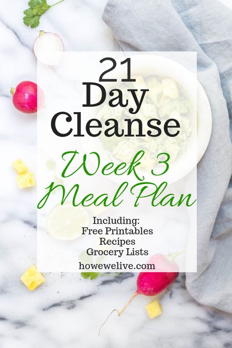 Cleanse Meal Plan, Standard Process Cleanse Recipes, Meal Plan Shopping List, 21 Day Cleanse, 1200 Calorie Diet Meal Plans, 21 Day Detox, Detox Meal Plan, Meal Plan Grocery List, Best Smoothie