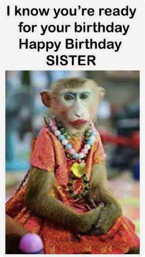 Sisters Birthday Quotes Funny, Funny Happy Birthday For Friend, Funny Happy Birthday Wishes For Sister, Sister Bday Wishes Funny, Funny Sister Birthday Quotes Hilarious, Happy Birthday Sister Funny Memes, Happy Birthday To Sister Funny, Birthday Wish For Sister Funny, Special Birthday Wishes For Sister Funny