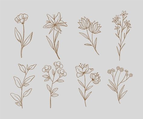 Floral Lineart, Tiny Tats, Tattoos Inspo, Flash Tattoos, Flower Collection, Hand Drawn Flowers, Flower Template, Fruit Pattern, Vector Hand