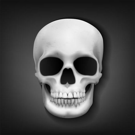 Realistic skull head on dark background, Vector Illustration Single Mom Tips, Realistic Skull, Valentines Memes, Head Background, Quotes Relationships, Skull Head, Dark Background, Dating Quotes, Dark Backgrounds