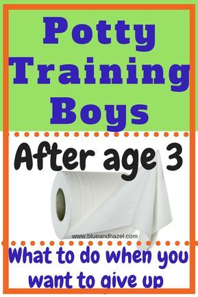 Potty Training Stubborn Boys, Potty Charts, Tips For Boys, Boys Potty, Potty Training Rewards, Night Training, How To Potty Train, Potty Training Girls, Toddler Potty