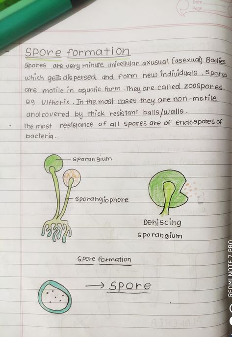 Reproduction Notes, Asexual Reproduction, Bio Notes, Exam Study Tips, Exam Study, Handwritten Notes, Driving Pictures, Class 10, Study Tips