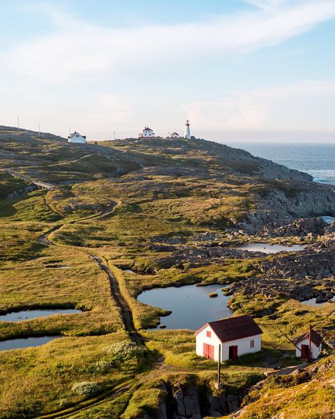 Newfoundland’s rocky, fog-bound Atlantic coastline is the perfect place to admire historic beacons and stunning vistas. Nora From Queens, Newfoundland Travel, Broad City, Canada Images, Eastern Canada, Atlantic Canada, Visit Canada, The Great Escape, Newfoundland And Labrador